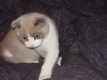 DSC00025