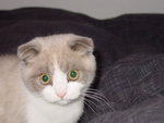 DSC00030