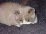 DSC00031