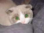 DSC00034