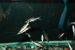 2009 Yunnan_066
