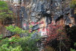 2009 Yunnan_113