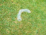 2009 Yunnan_265