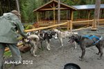 2012 Alaska 0181z