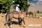 Maui 2012 106z