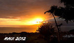 Maui 2012 110z