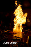 Maui 2012 132z