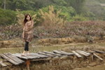 Melody Chan VC _000773 S