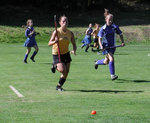 Grass Hockey