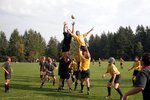Rugby