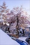 Vancouver 2022 051z