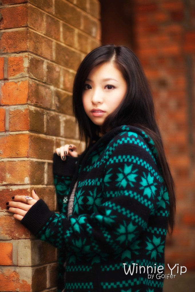 Brick House in the Shade 12 photo sharing network