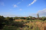 IMG_1777