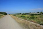 IMG_1795