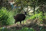 IMG_1803