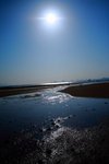 IMG_8832