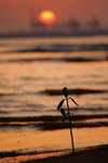 IMG_9032