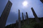 DPP_0017