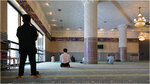IMG_5646b