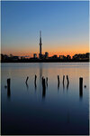 IMG_5473b