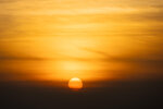 DSC_0774