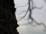 P3234255