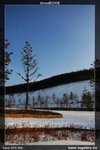 IMG_0803_Large