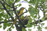08070656