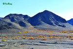 101020103Nc