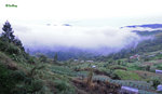 京巴魯山景 Mount Kinabalu Park 11012206Nc