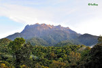 京巴魯山景 Mount Kinabalu Park 11012215Nc