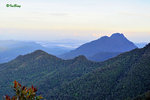 京巴魯山景 Mount Kinabalu Park 11012223Nc