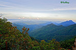 京巴魯山景 Mount Kinabalu Park 11012224Rc