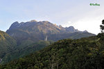 京巴魯山景 Mount Kinabalu Park 11012226Nc