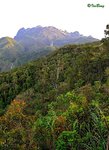 京巴魯山景 Mount Kinabalu Park 11012234Nc