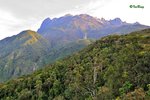 京巴魯山景 Mount Kinabalu Park 11012235Nc
