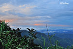 京巴魯山景 Mount Kinabalu Park 11012302Nc