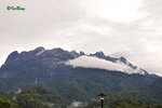 京巴魯山景 Mount Kinabalu Park 11012305Nc