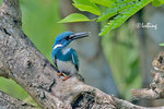 180318400Nc