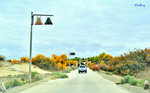 101026132NcLs