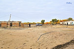 101026163NcLs