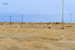 101026490NcLs