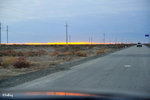 101026491NcLs