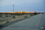 101026493NcLs