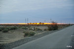 101026494NcLs