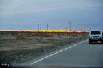 101026495NcLs