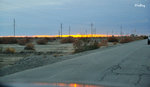 101026498NcLs
