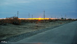 101026499NcLs