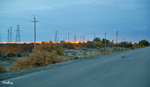 101026500NcLs