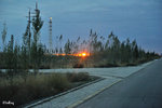 101026501NcLs